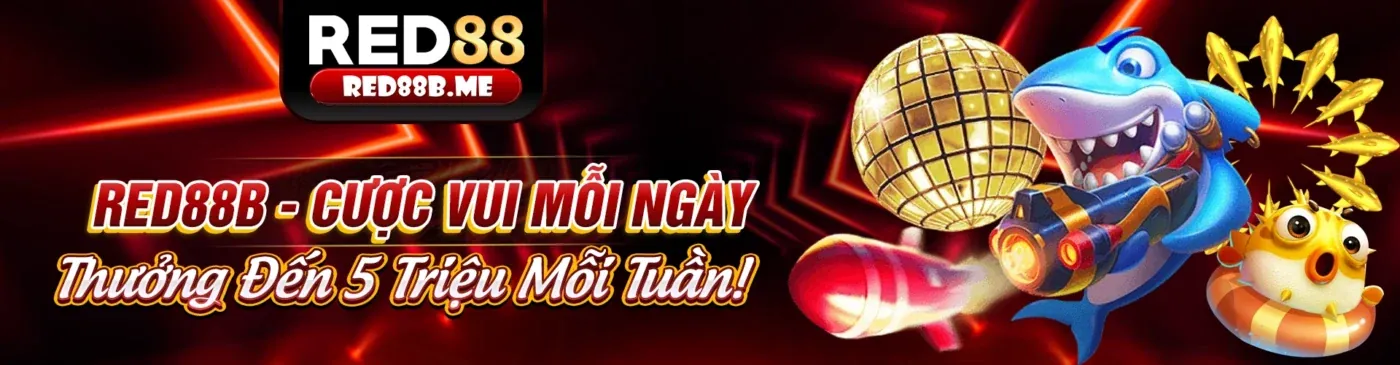 Hình ảnh các quy tắc cá cược và trò chơi công bằng tại Bet88